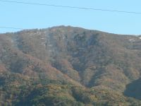 081120_kansya_020_2